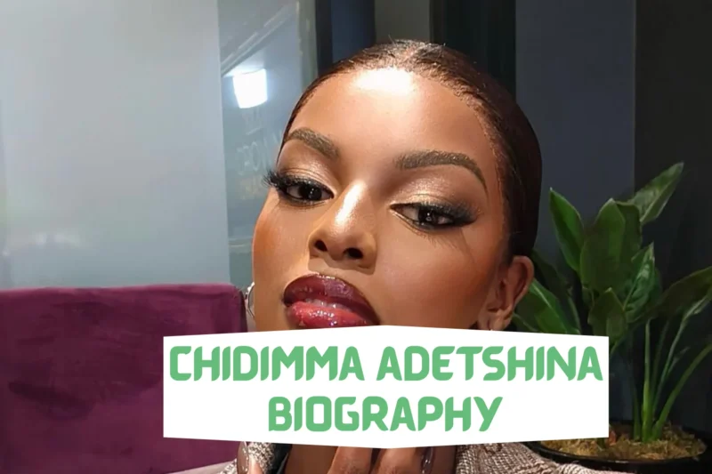 Chidimma Adetshina Biography: Parents, Age, Wikipedia, Husband, Net Worth