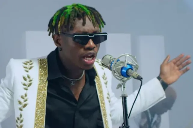 Zlatan Ibile Biography